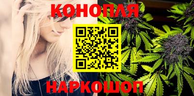 a pvp Аргун